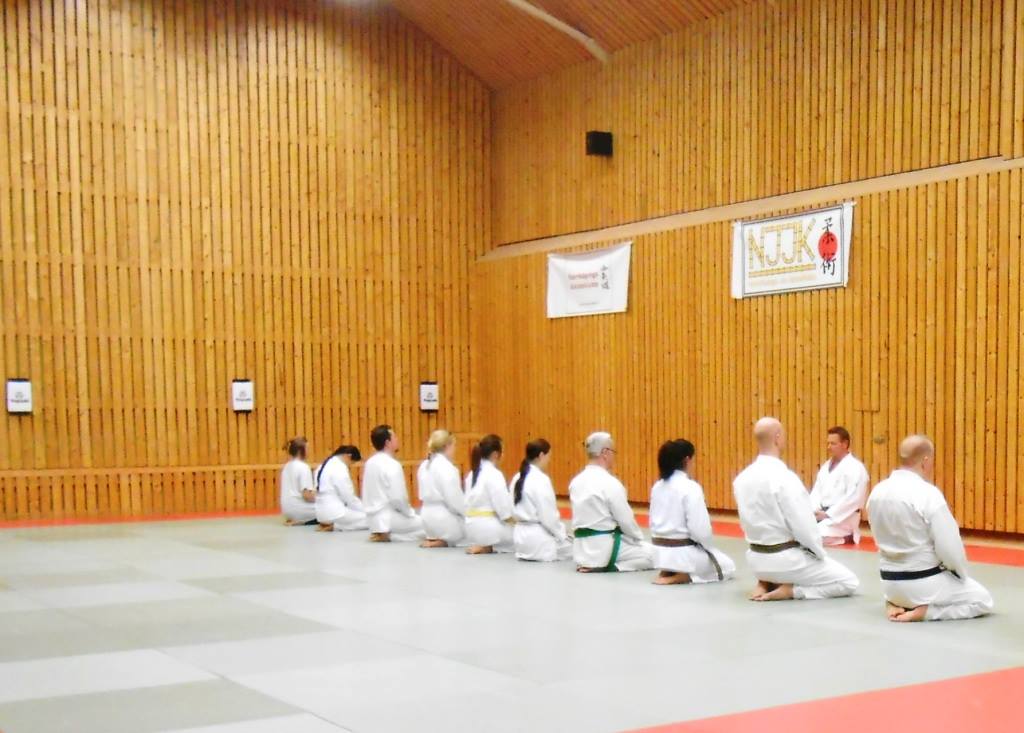 Lär dig karate med Norrköping Shitoryu karateklubb
